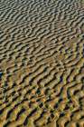 USA- Oregon. Cannon Beach low tide and ripples in the sand. Art Print